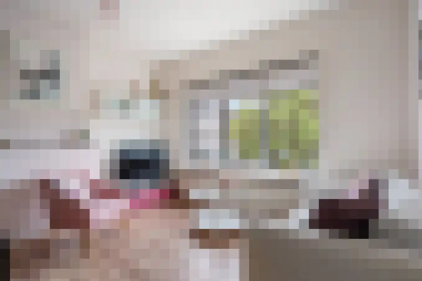 Marnixlaan 37 Utrecht thumbnail 5