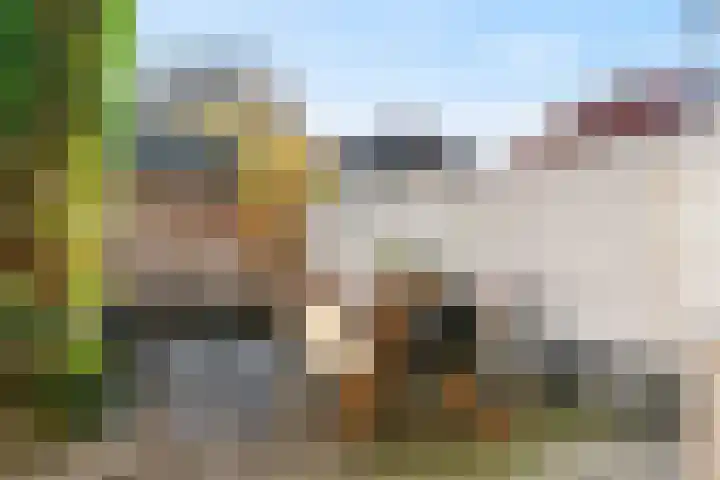 Marnixlaan 45 Utrecht thumbnail 10