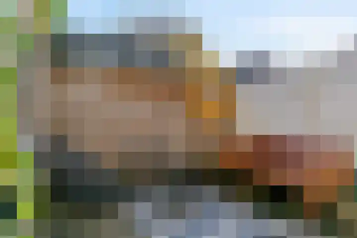 Marnixlaan 45 Utrecht thumbnail 11
