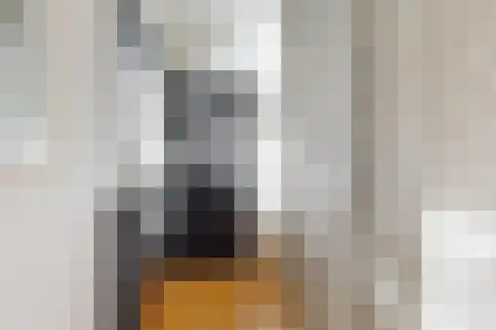 Marnixlaan 45 Utrecht thumbnail 20