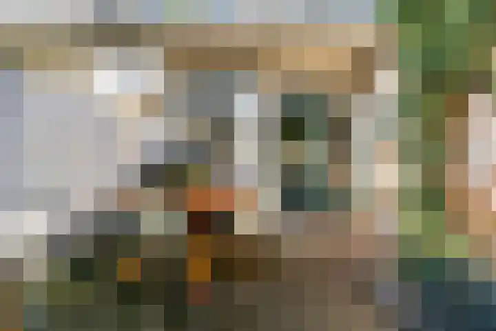 Marnixlaan 45 Utrecht thumbnail 8