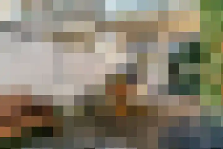 Marnixlaan 45 Utrecht thumbnail 9