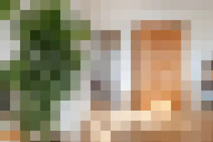 Marnixlaan 52 Utrecht thumbnail 21