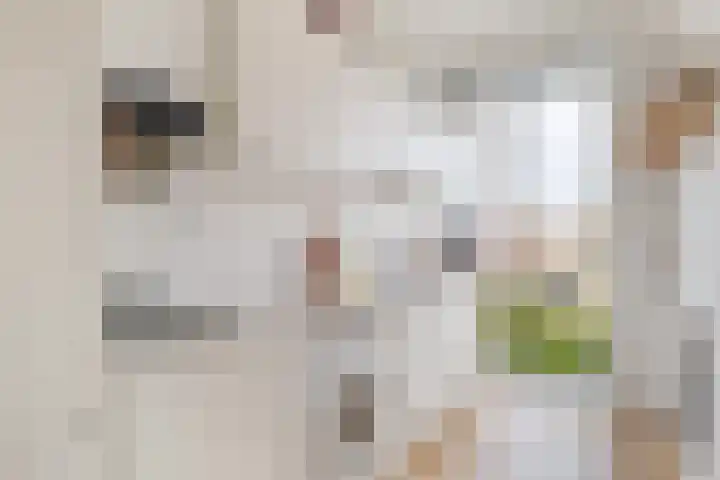 Marnixlaan 52 Utrecht thumbnail 22