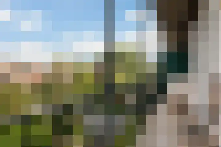 Marnixlaan 52 Utrecht thumbnail 25