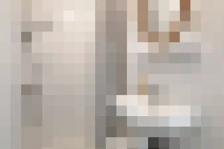Marnixlaan 52 Utrecht thumbnail 30