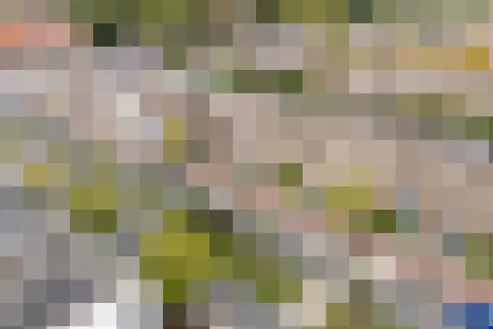 Marnixlaan 52 Utrecht thumbnail 36