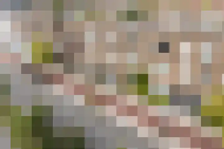 Marnixlaan 52 Utrecht thumbnail 5