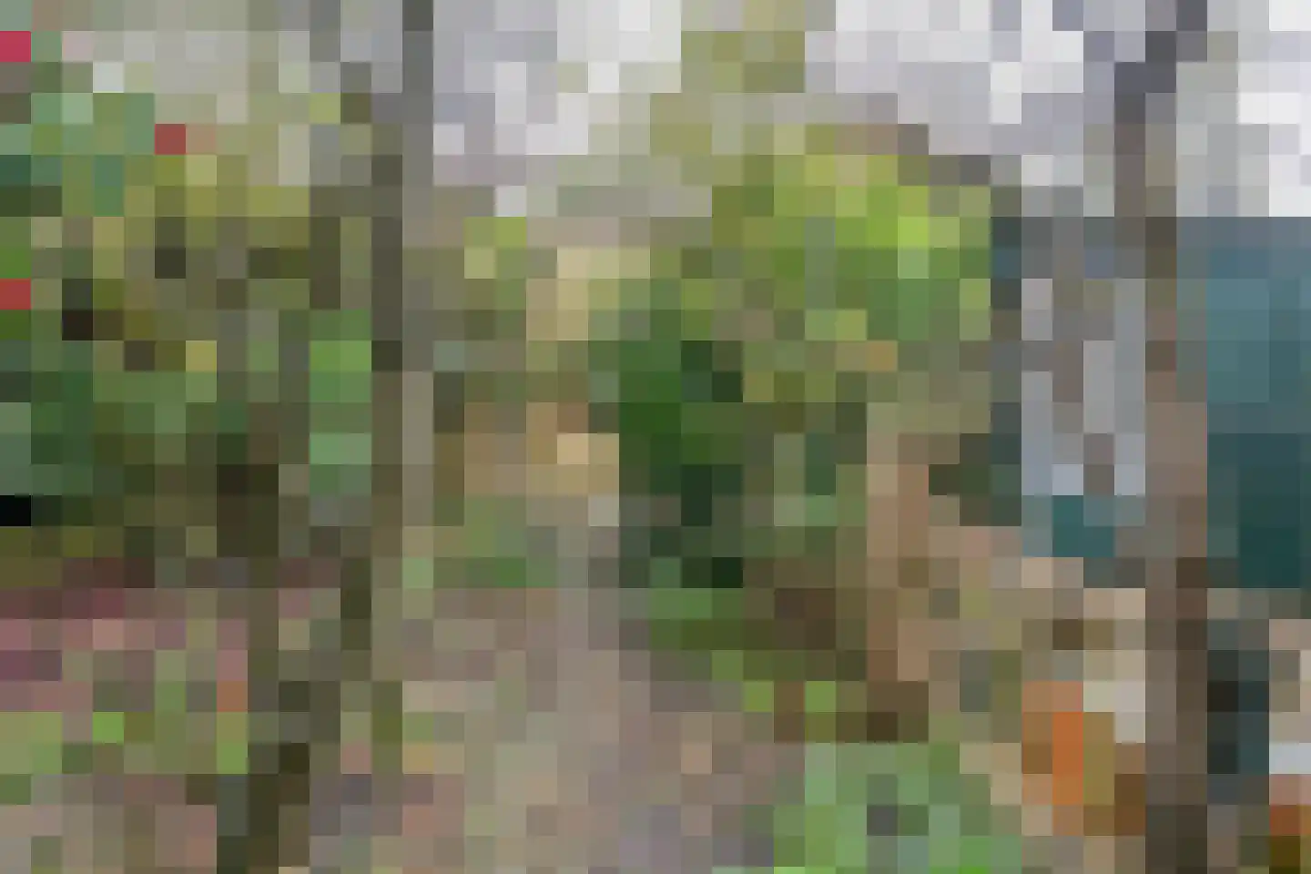 Marnixlaan 54 Utrecht thumbnail 20