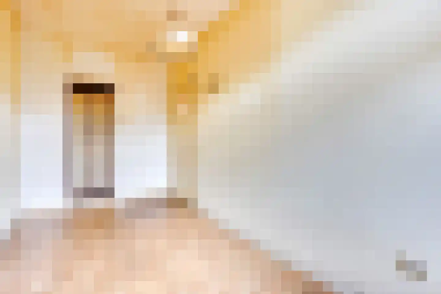 Marnixlaan 54 Utrecht thumbnail 22