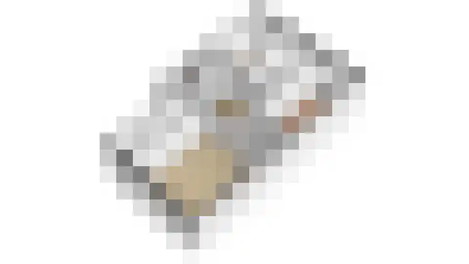 Marnixlaan 54 Utrecht thumbnail 32