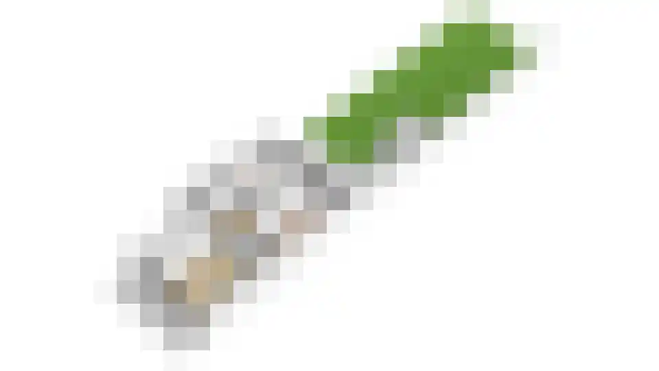 Marnixlaan 54 Utrecht thumbnail 35