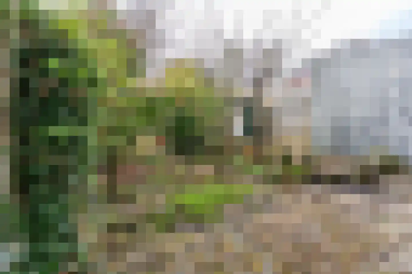 Marnixlaan 54 Utrecht thumbnail 4
