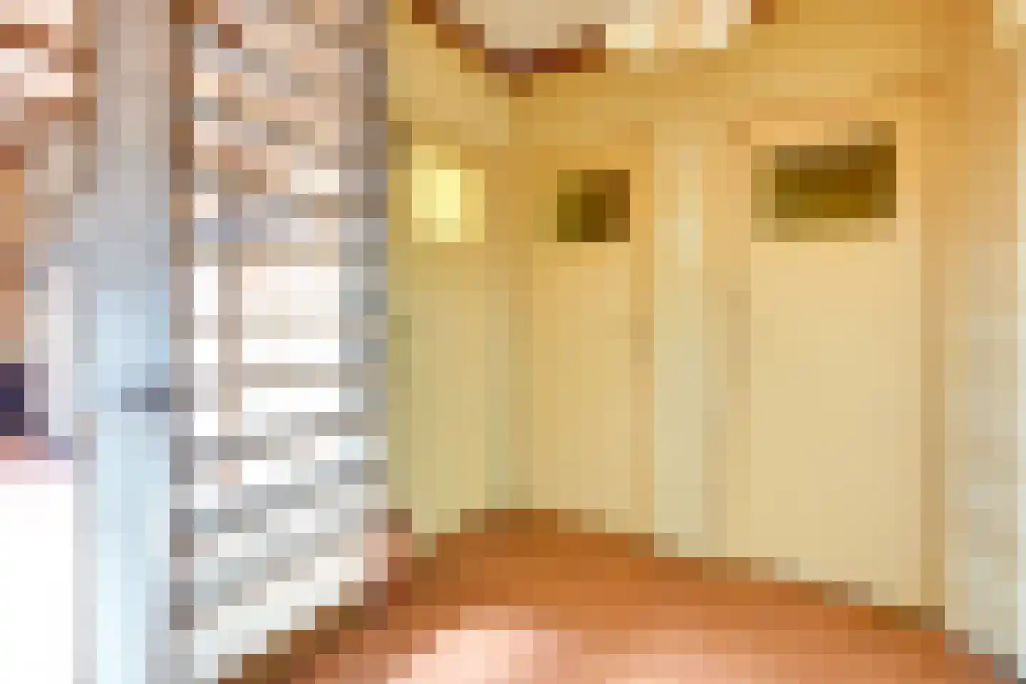 Marnixlaan 54 Utrecht thumbnail 8