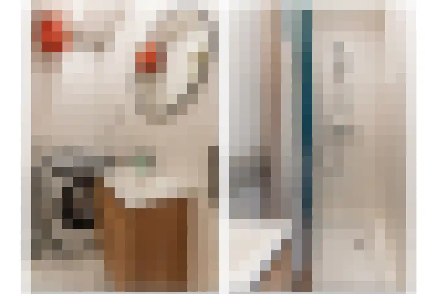 Marnixlaan 71 Utrecht thumbnail 18