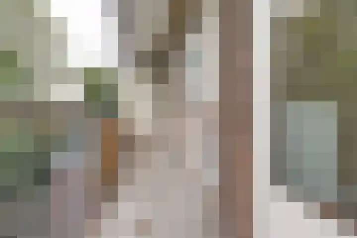Marnixlaan 74 Utrecht thumbnail 16