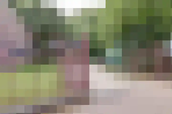 Marnixlaan 74 Utrecht thumbnail 17