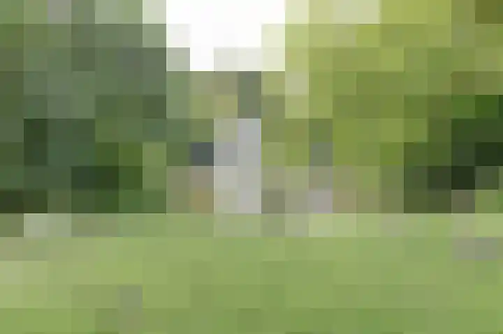 Marnixlaan 74 Utrecht thumbnail 18