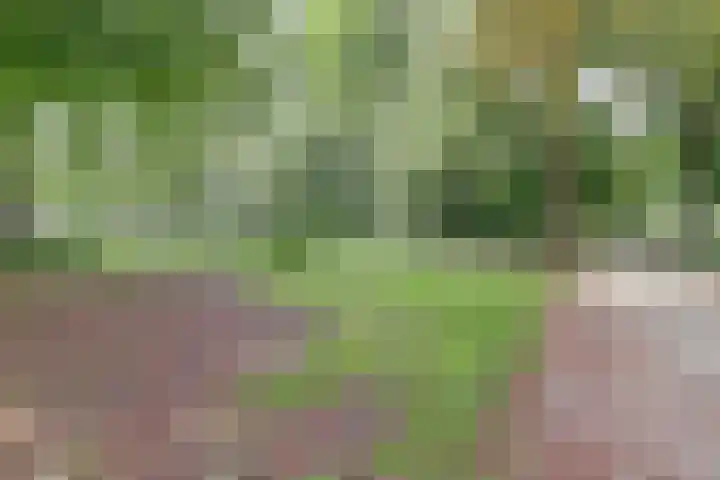 Marnixlaan 74 Utrecht thumbnail 19