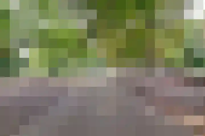 Marnixlaan 74 Utrecht thumbnail 20