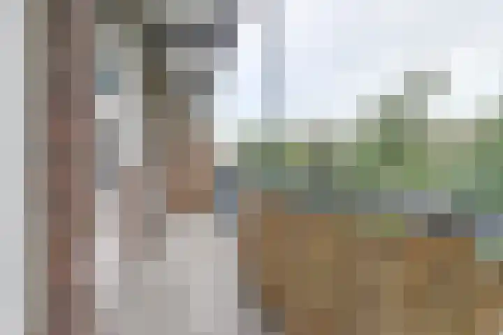 Marnixlaan 74 Utrecht thumbnail 6