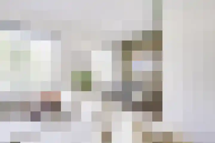 Marnixlaan 77 Utrecht thumbnail 11