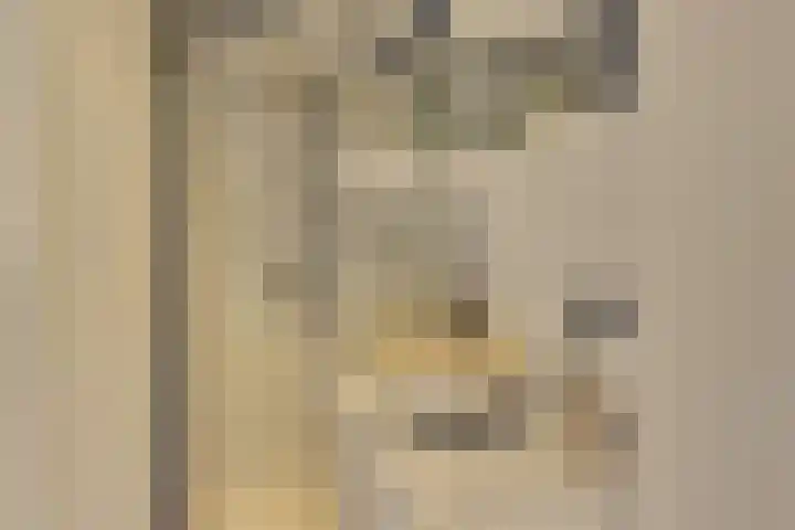 Marnixlaan 77 Utrecht thumbnail 12