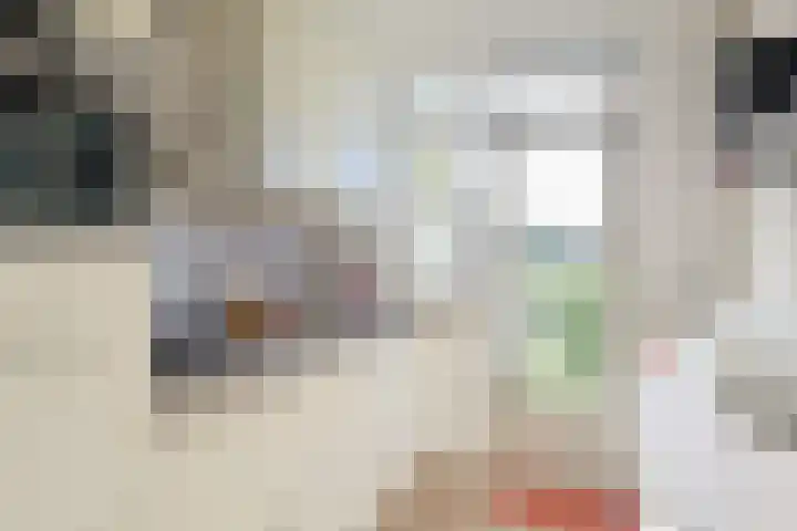 Marnixlaan 77 Utrecht thumbnail 16