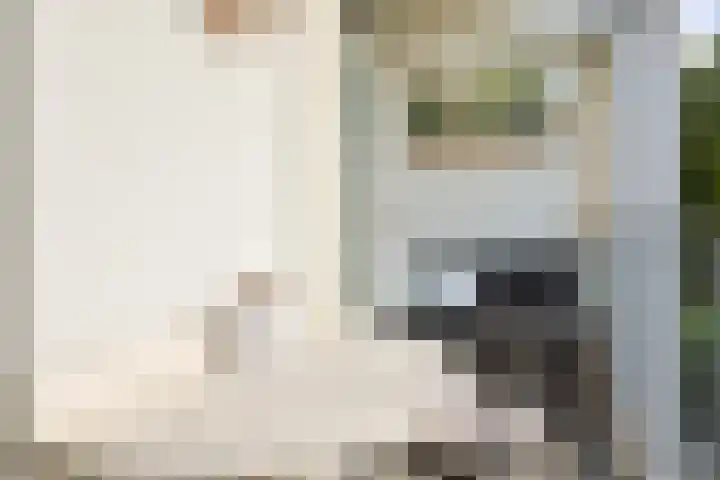 Marnixlaan 77 Utrecht thumbnail 22