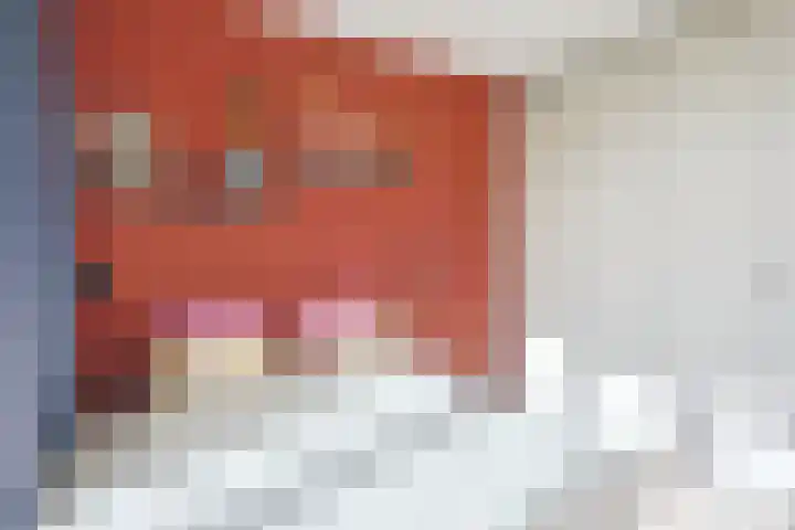 Marnixlaan 77 Utrecht thumbnail 24