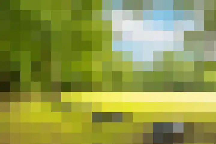Marnixlaan 77 Utrecht thumbnail 31