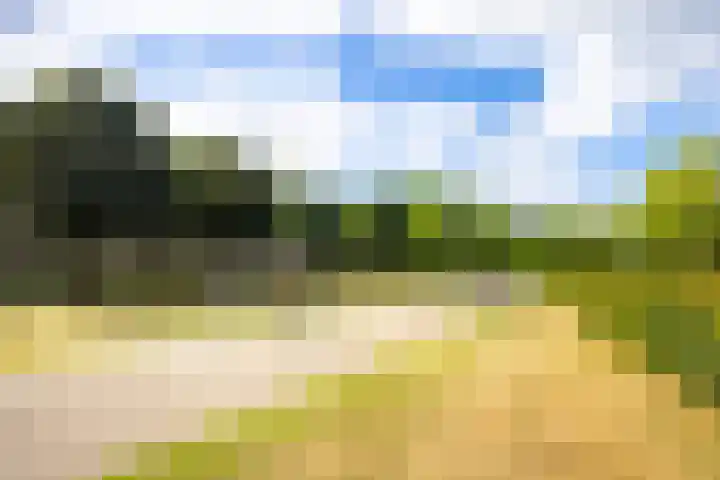Marnixlaan 77 Utrecht thumbnail 32