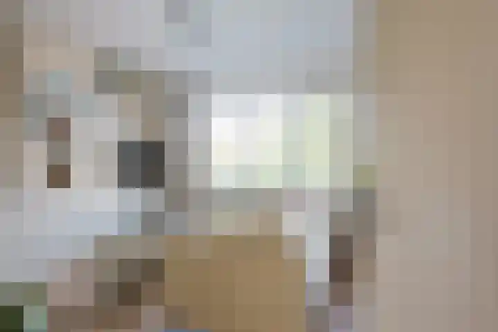Marnixlaan 77 Utrecht thumbnail 7