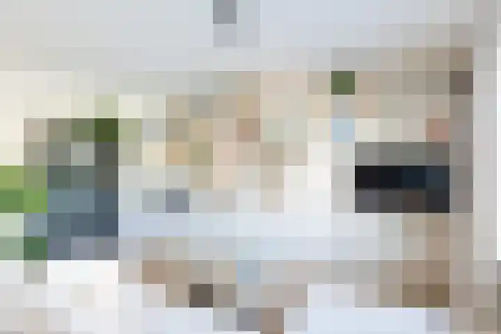 Marnixlaan 77 Utrecht thumbnail 9