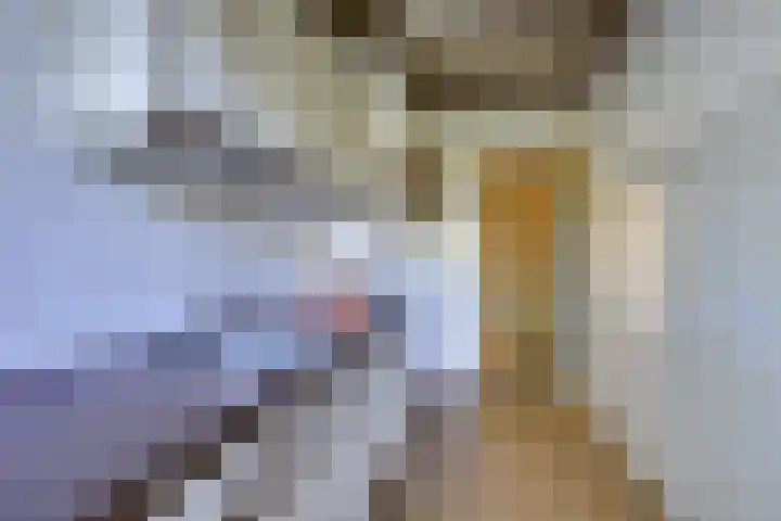 Marnixlaan 82 Utrecht thumbnail 12