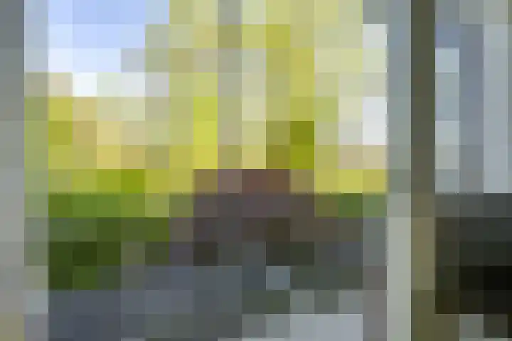 Marnixlaan 82 Utrecht thumbnail 15