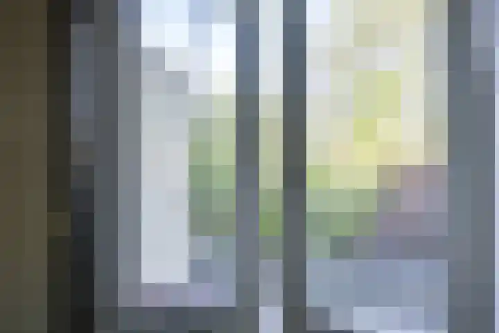 Marnixlaan 82 Utrecht thumbnail 27