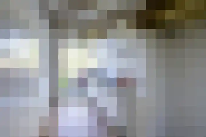 Marnixlaan 82 Utrecht thumbnail 4