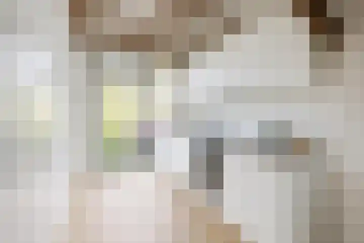 Marnixlaan 82 Utrecht thumbnail 5