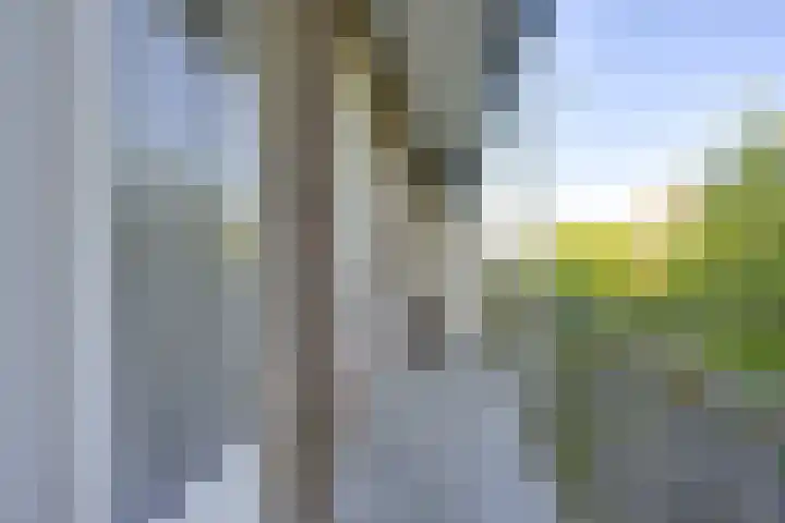 Marnixlaan 82 Utrecht thumbnail 6