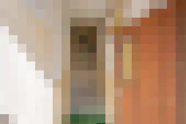 Marnixlaan 82 Utrecht thumbnail 8
