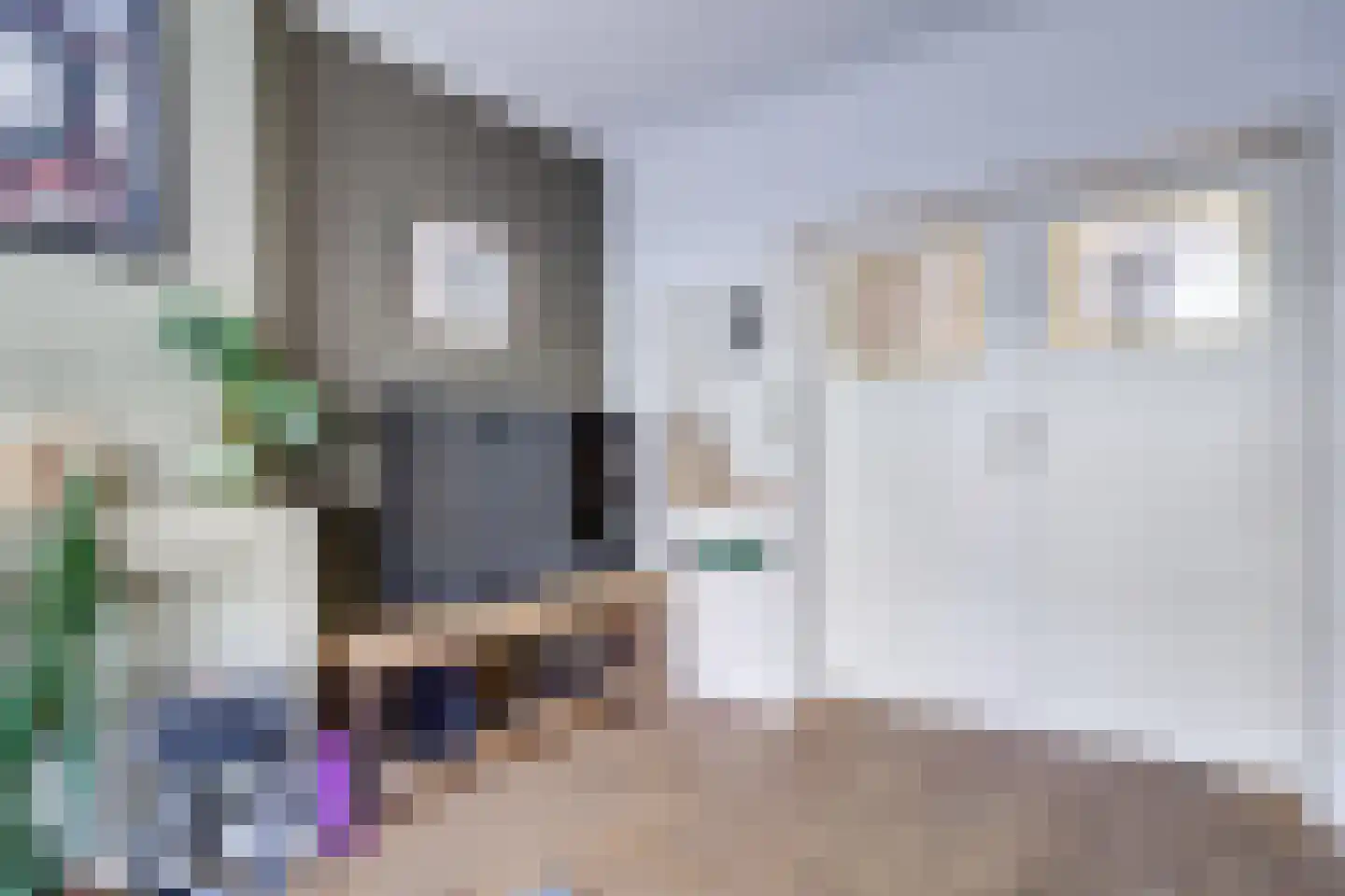 Marnixlaan 85 Utrecht thumbnail 10