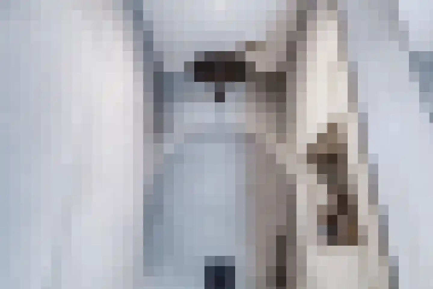 Marnixlaan 85 Utrecht thumbnail 33