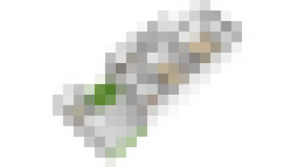 Marnixlaan 85 Utrecht thumbnail 56