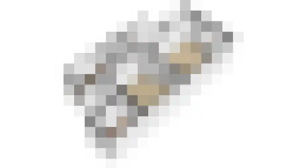 Marnixlaan 85 Utrecht thumbnail 58