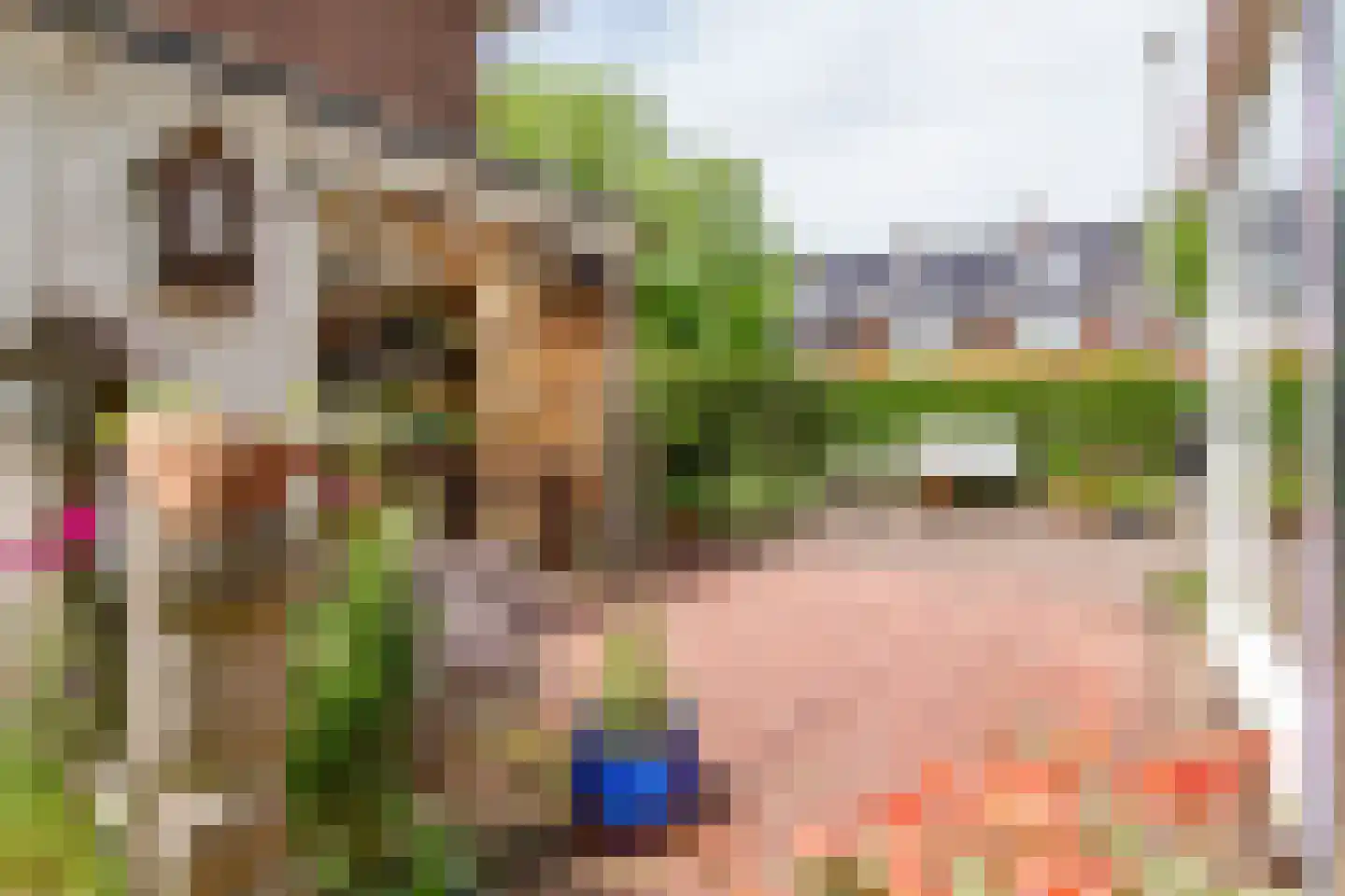 Marnixplein 9 Haarlem thumbnail 33