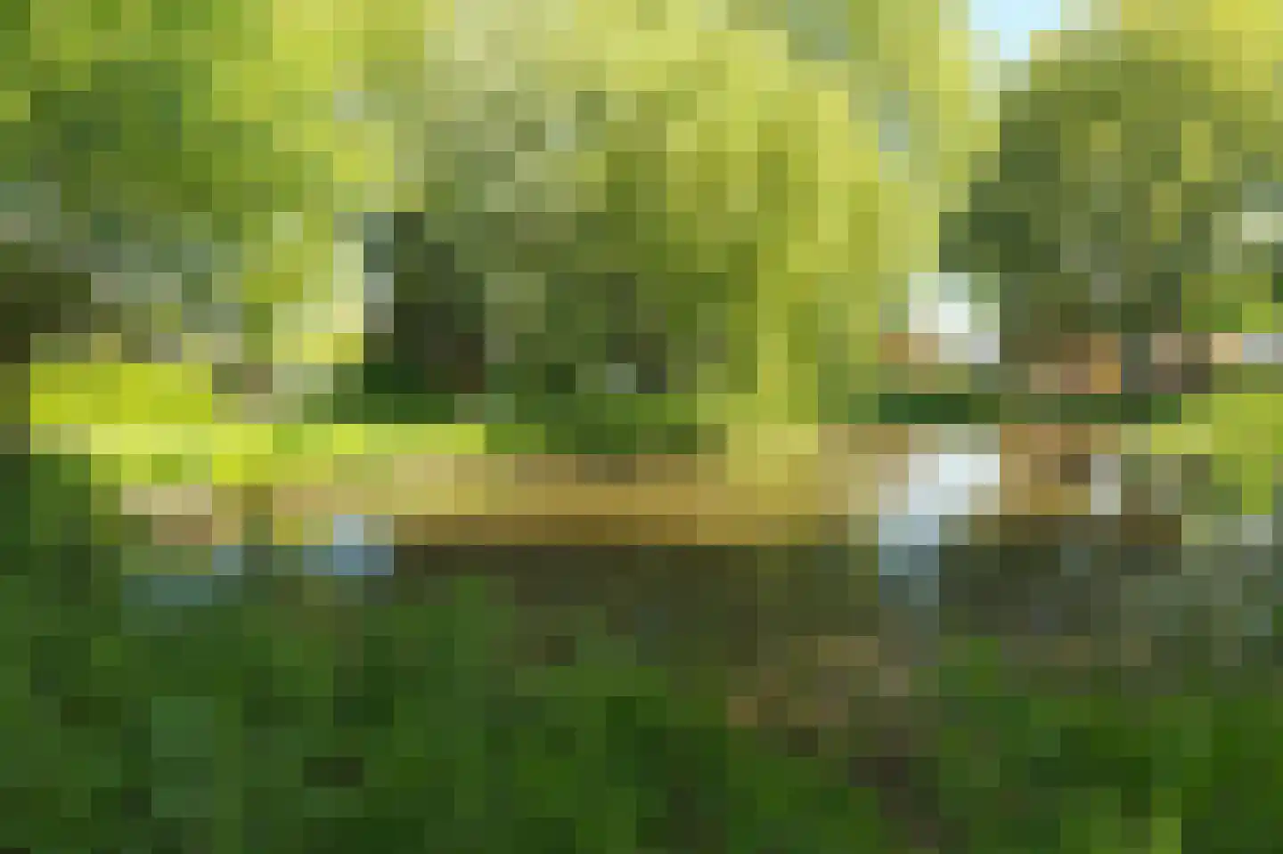 Marnixstraat 11 Ridderkerk thumbnail 36
