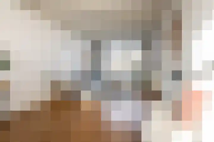 Marnixstraat 115 RD Haarlem thumbnail 6