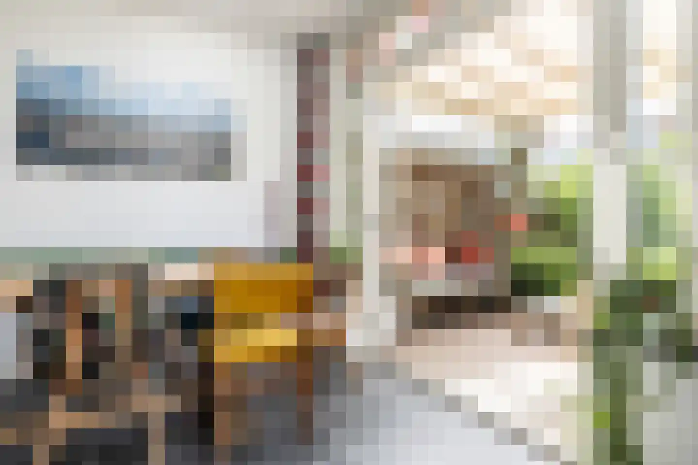 Marnixstraat 156 Haarlem thumbnail 18