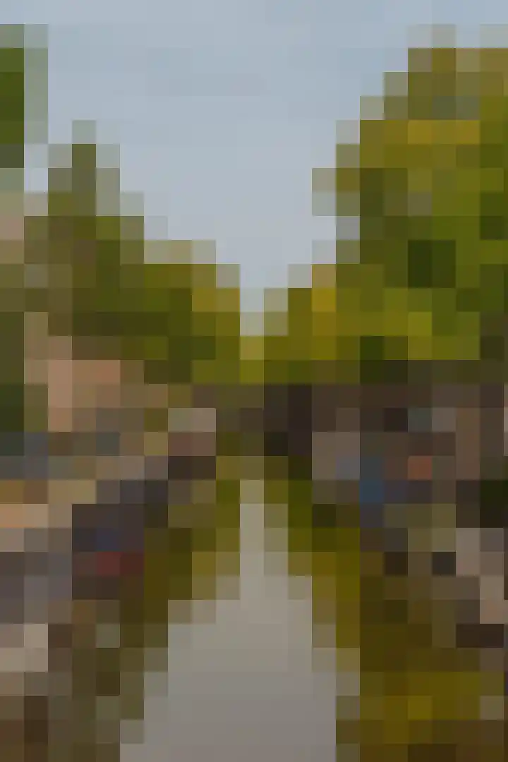 Marnixstraat 160 2 Amsterdam thumbnail 32